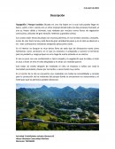 Habilidades Verbales-2 Actividad Descripción