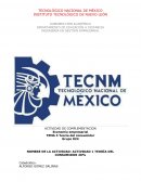 TEORÍA DEL CONSUMIDOR