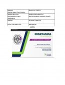 Razonamiento Logico matematico