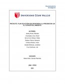PROYECTO: PLAN DE ACCIÓN QUE RESPONDA A LA PREVENCIÓN EN EL CUIDADO DEL AMBIENTE