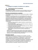 INTERPRETACION DE NORMAS AMBIENTALES
