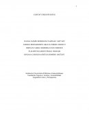 COSTOS Y PRESUPUESTOS. MARCO TEÓRICO