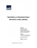 Desarrollo organizacional. Encuesta clima laboral