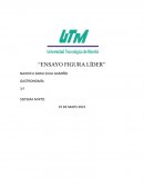 Ensayo figura lider Yesenia Zamudio