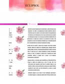 Resumen eclipsol
