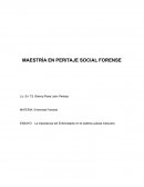 La importancia del Entrevistador en el sistema judicial mexicano