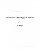 Redes sociales violando la privacidad ante el tráfico de datos personales; Lagos de Moreno, Jalisco 2019