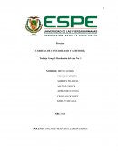 Estado de resultado empresa Wildfire Entertainment