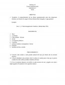 Biofísica II Líneas equipotenciales