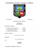 INFORME N°8 TRIGLICÉRIDOS