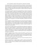 POLITICA ECONOMICA, INGRESOS, PODER ADQUISITIVO, LIMITACION DEL GOBIERNO