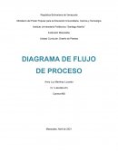 DIAGRAMA DE FLUJO DE PROCESO