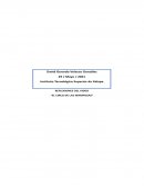 Reflexiones del vídeo "El circo de las mariposas"