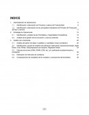Identificación y descripción de Procesos y cálculo de Productividad
