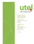 COMPETENCIAS GERENCIALES