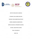 Análisis de la problemática nacional Actividad – ensayo época colonial