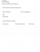 Plan de marketing D&B