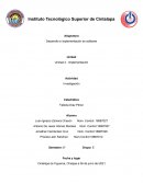 Desarrollo e implementación de software