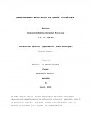 Pensamiento educativo de Simón Rodríguez