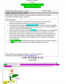 Reacción endergónica, reacción exergónica, conservación de la materia
