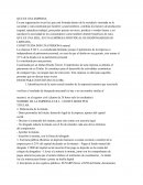 INFORME DE CONSTITUCION DE UNA EMPRESA