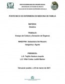 Ensayo de cultura y donación de órganos