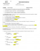 MEDICIONES MECANICAS