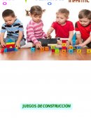 Denominación del Proyecto: Pequeños constructores