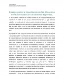 IMPACTO SOCIAL EN LOS GRUPOS DEPORTIVOS