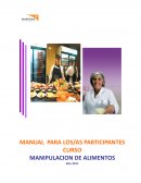 Manual Word Vision Manipulacion