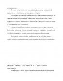 PROBLEMA AMBIENTAL: CONTAMINACIÓN DE LA PLAYA CARPAYO