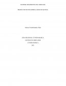 INFORME DESCRIPCION DEL MERCADO PRODUCTOS DE PANADERIA A BASE DE QUINOA