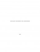 Analisis dinamico de Imagenes