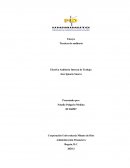 Técnicas de auditoria Electiva Auditoría Interna de Trabajo