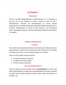 Actividad Conflicto multidisciplinario, Interdisciplinario