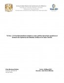 El fundamentalismo islámico como política-terrorista