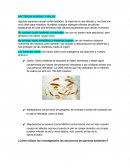 Bacterias buenas y malas