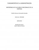 Importancia de las areas funcionales de la empresa