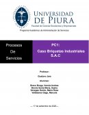 Caso Briquetas Industriales S.A.C