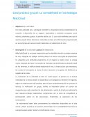 Casó práctico grupal: La contabilidad en las Bodegas MacCloud