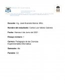 Pedagogía de las Ciencias Experimentales-Informática