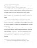 CALIDAD EN LOS PROCESOS PRODUCTIVOS