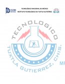 Estructura organizacional. Empresas dedicadas a la distribución de calzado