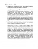 Trabajo análisis de caso KONA