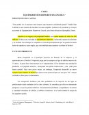 CASO: EQUIPAMIENTOS DEPORTIVOS LINCOLN