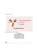 Proyecto Privado de Inversión. Razón social: Florys Mermeladas