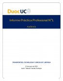 Informe Práctica Profesional N°1. Auditoria