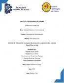 Actividad. Elaboración de proyecto de producción y operación de la empresa. Papas Fritas en Aire