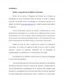 Analisis y propuesta de los objetivos curriculares