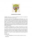 DIVISIÓN SOCIAL DEL TRABAJO